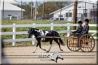 4H-District-17-2499.jpg