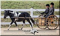 4H-District-17-2500.jpg