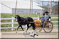 4H-District-17-2504.jpg