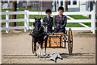 4H-District-17-2509.jpg