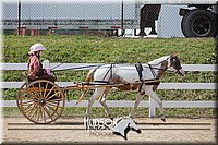 4H-District-17-2513.jpg