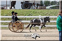 4H-District-17-2516.jpg