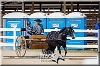 4H-District-17-2519.jpg