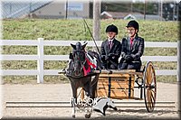 4H-District-17-2531.jpg