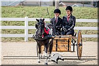 4H-District-17-2532.jpg