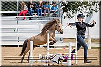 4H-District-17-2558.jpg