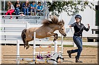 4H-District-17-2559.jpg