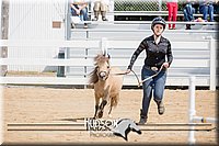 4H-District-17-2560.jpg