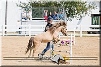 4H-District-17-2561.jpg