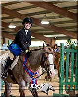 4H-District-17-2583.jpg