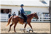 31. Beginner Western Horsemanship