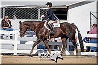 35. Breed Type HUS Horses - Jr. Rider