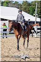 37. Classic Type HUS Horses - Jr. Rider