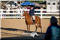 44. Beginner English Equitation