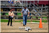 4H-FUN-061017-1442.jpg