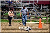 4H-FUN-061017-1443.jpg