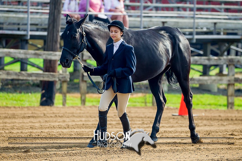 4H-FUN-061017-0040.jpg