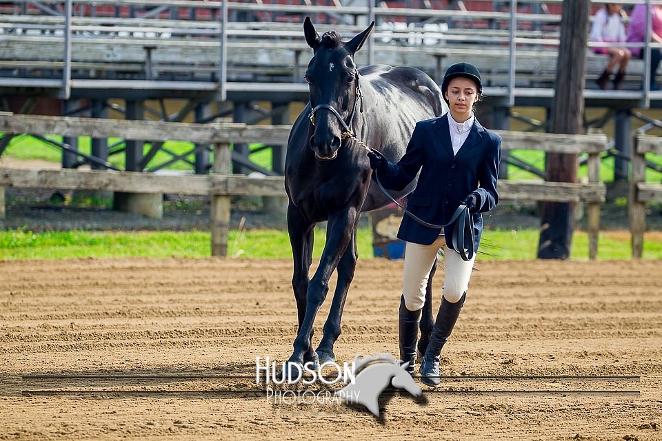 4H-FUN-061017-0042.jpg