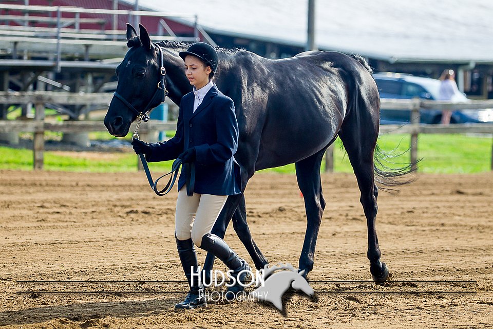 4H-FUN-061017-0047.jpg