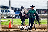 4H-FUN-061017-0018.jpg