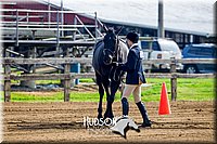 4H-FUN-061017-0038.jpg