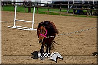 4H-FUN-061017-0289.jpg