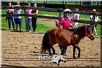 4H-FUN-061017-0296.jpg