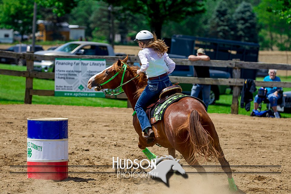 4H-FUN-061017-0713.jpg