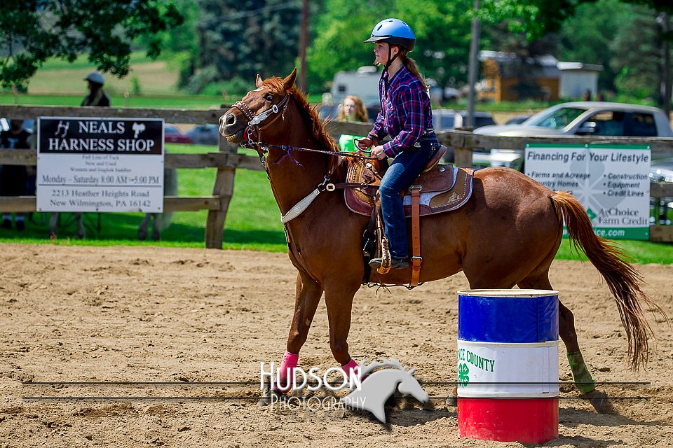 4H-FUN-061017-0757.jpg