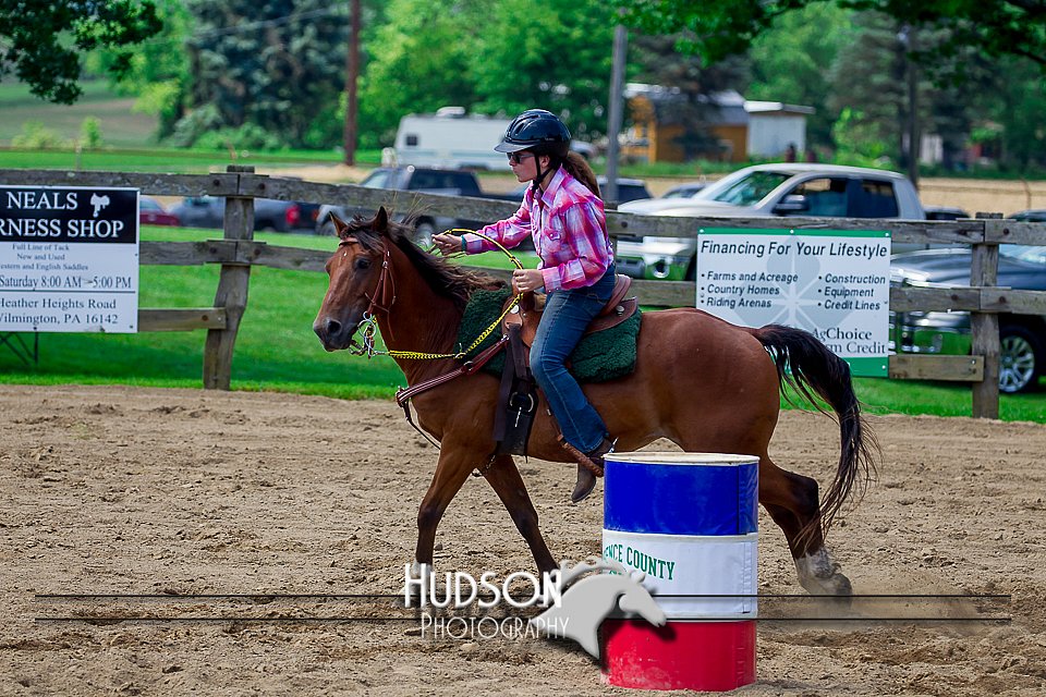 4H-FUN-061017-0810.jpg