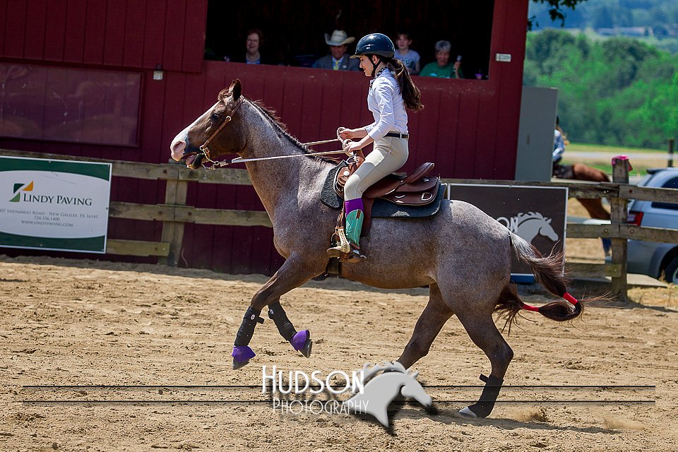 4H-FUN-061017-0853.jpg