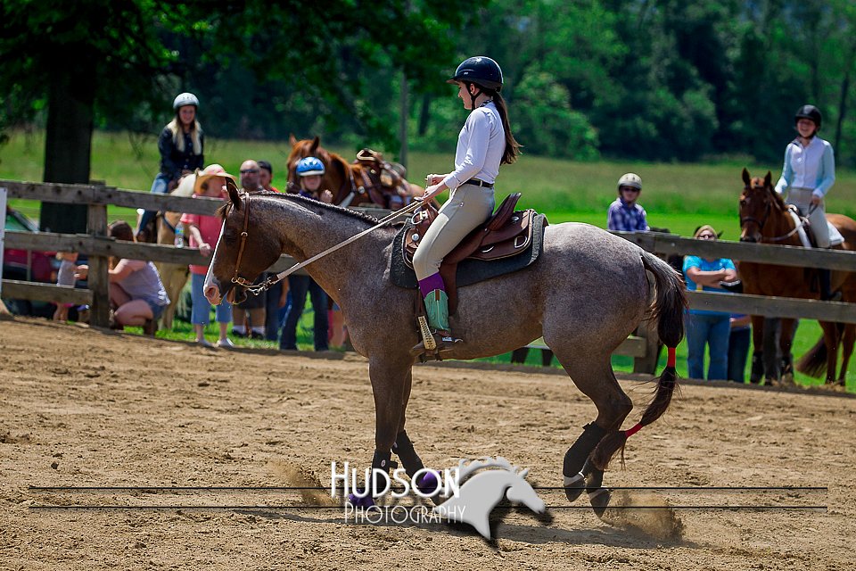 4H-FUN-061017-0854.jpg