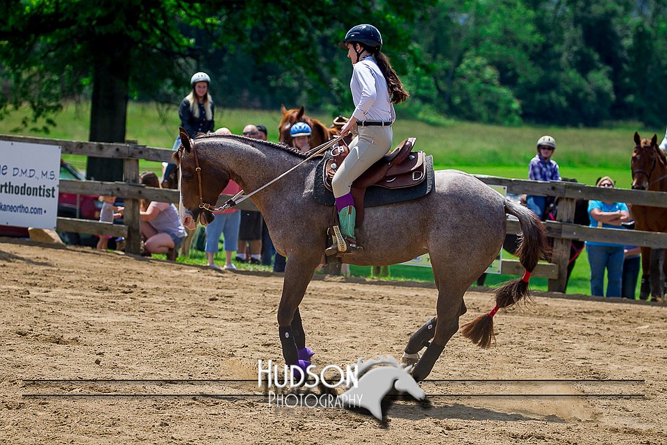 4H-FUN-061017-0855.jpg