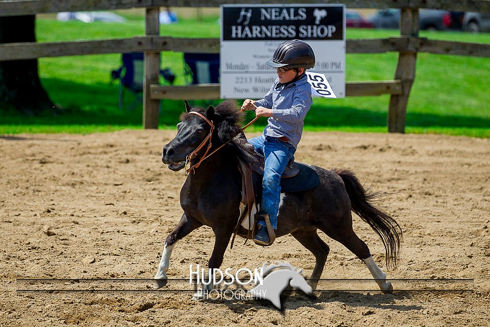 4H-FUN-061017-0885.jpg