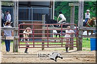 4H-FUN-061017-1127.jpg