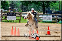 4H-FUN-061017-1188.jpg