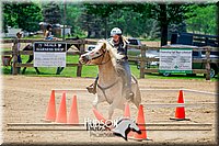 4H-FUN-061017-1189.jpg