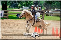 4H-FUN-061017-1191.jpg