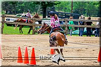 4H-FUN-061017-1211.jpg