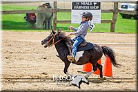 4H-FUN-061017-1225.jpg