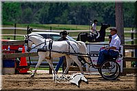 4H-FUN-061017-1235.jpg