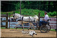 4H-FUN-061017-1237.jpg