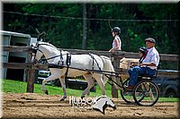 4H-FUN-061017-1240.jpg