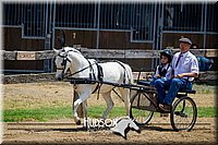 4H-FUN-061017-1245.jpg