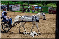 4H-FUN-061017-1254.jpg