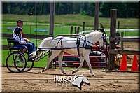 4H-FUN-061017-1269.jpg