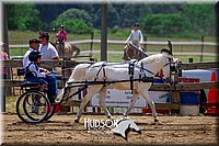 4H-FUN-061017-1270.jpg