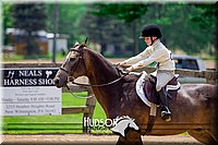 4H-FUN-061017-1353.jpg