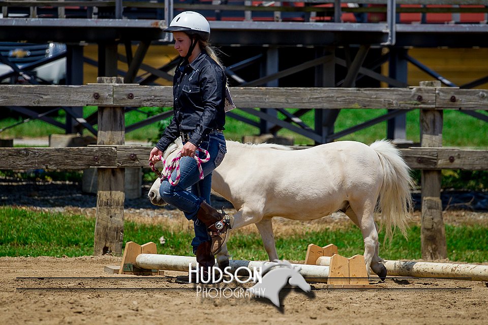 4H-FUN-061017-1469.jpg