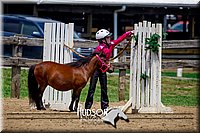 4H-FUN-061017-1450.jpg